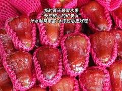 -羊栏农贸市场(羊新路店)