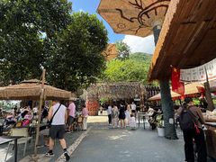 -西双版纳原始森林公园