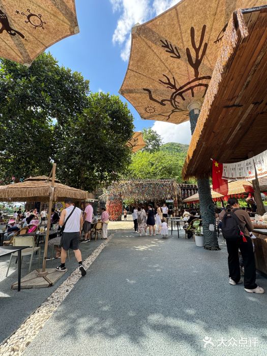 西双版纳原始森林公园图片