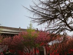 -西安青龙寺遗址景区