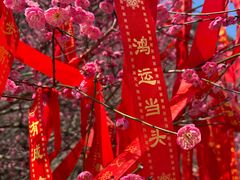 -车溪民俗旅游区