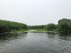 -白洋淀景区