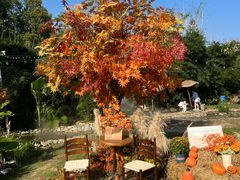 -HERRE·FARM 赫尔露营农场·团建聚会包场