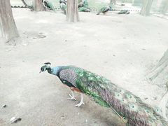 -南京金牛湖风景区