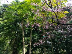 -乌山风景区