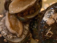 -永和铂爵国际酒店-威斯蒂娜西餐厅(金水东路店)