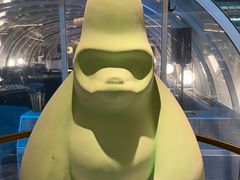 -Hi City·城市之巅