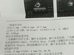 -成都民大动物医院