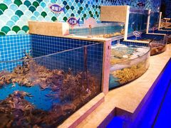 水产区-乔哥铭洋海鲜自助(皇城恒隆广场店)