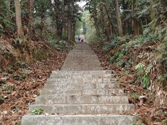 -天花井景区