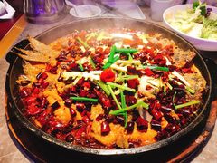 -老板恋上鱼(恒隆广场店)