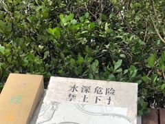 -万绿园