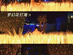 -巨鹏飞梦幻海岸