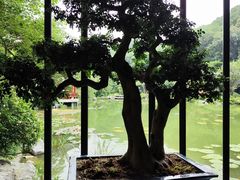 -云溪植物园
