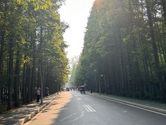 -日照海滨国家森林公园
