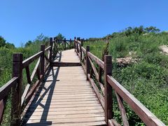-北京鹫峰国家森林公园