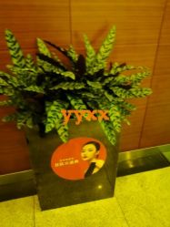 -Yestar杭州艺星医疗美容医院