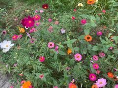 -桤木河湿地公园