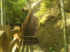 -缙云山景区