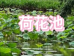 -金山植物公园