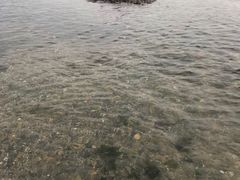-黑石礁公园