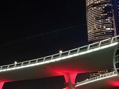 -演武大桥观景平台