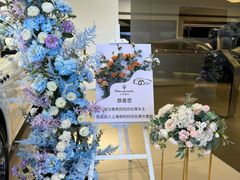 -上海保利玛莎拉蒂和阿尔法罗密欧(华翔路店)