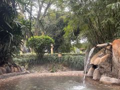 -天赐温泉