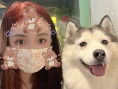 -Husky Go! 哈士奇体验馆·宠物咖啡厅狗咖