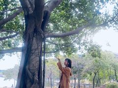 -广东工业大学(大学城校区)