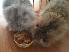 -丁里羊肉小镇(天鹅湖总店)