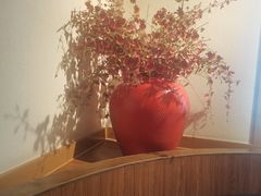 -首秀·四川料理(星耀101店)