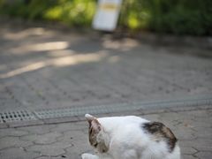 -东风公园