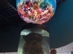 -瑞普利水族馆