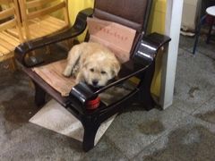 iphone_upload_pic-百成大同鸭肉粥(大同总店)
