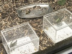 -上海昆虫博物馆