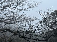 -梵净山旅游区