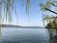 -浙江西子宾馆·牡丹厅