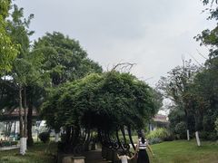 -府河摄影公园