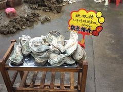-蚝专家(北滘店)