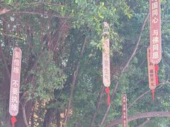 -福州开元寺