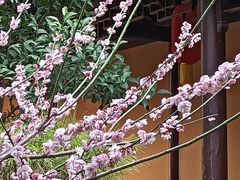 -龙华寺
