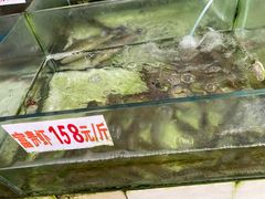 -龙记园海鲜坊(免税城店)