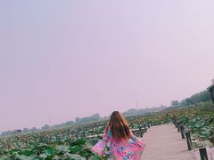 -焦岗湖旅游度假区