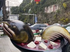 -江龙饭店·乌江豆腐鱼(乌江老桥头店)
