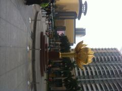 iphone_upload_pic-金莲花广场