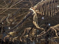 -世界恐龙谷景区