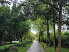 -大渡口区义渡公园