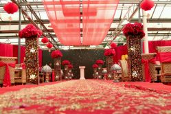 -保定金沙芝柏婚礼策划
