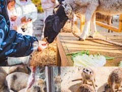 -茅山东方盐湖城景区